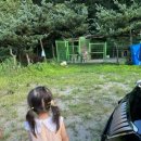 백운산곤드레밥해신탕 이미지