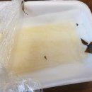제일농수산유통 이미지