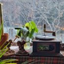 금오산참숯가마찜질방 이미지