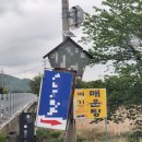 송지메기매운탕 네이버블로그