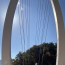 플로라펜션 이미지