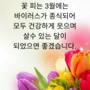 "'성남누비길 7구간' 걷기 운동"＜2020.03.17(화)＞ 이미지