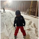 설천면102 | “와, 실력이 느는 게 보인다!” 무주 스키강습 타자고 리얼 후기