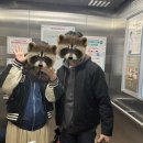 권선우리약국 | 꼬꾸야 반가워👶🏻 제왕절개 출산후기 에덴메디병원 5박 6일 입원 라이프