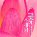 레릿비미
