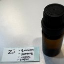 전남도립대학교 | 전남 도립대학교 교직원_250204