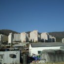 웅상대로 이미지