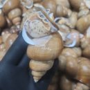 대운수산 이미지