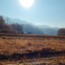 모도리마켓 네이버블로그