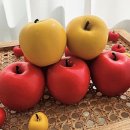 군민의 날 헬로콘서트 좋은날 이미지