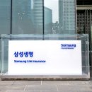 삼성웰스토리(주)삼성중공업신한내식당 | &#34;국내 요양시장 경쟁 촉진(?)&#34;...보험권, 삼성노블라이프 출범에 기대감 &#39;솔솔&#39;