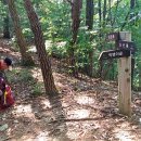 먹뱅이골 이미지