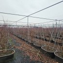 덕분농장 이미지