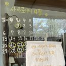 천안 디저트 카페 사사로이 후기 | 벚꽃과 함께하는 ...🌸