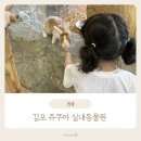 양도로 19번길 | 김포 아이랑 갈만한곳 풍무동 키즈카페 쥬쿠아 실내동물원
