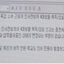 교육감소속 근로자 4대보험 상실및 취득안내 이미지