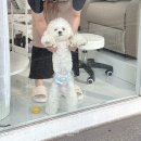 카페달링계림