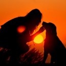 동물병원도담도담 이미지