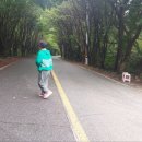 ok펜션 | 청산도펜션 청산도ok펜션 방문후기