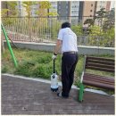 벌레잡는총각들