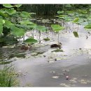 진사농장 이미지