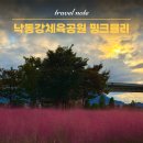낙동강체육공원 야구장화장실 | 구미 낙동강체육공원 핑크뮬리 대구근교 가을명소