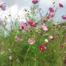 오정아트홀 이미지