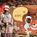 효자동 박태성정려비및묘 네이버블로그