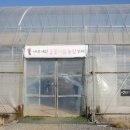 들꽃농장 이미지