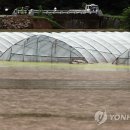 상신천 이미지