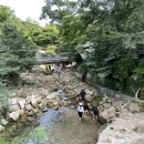 에바다애견 이미지