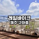 제주 레일바이크 소요시간 얼마나 걸릴까? 아이와 내돈내산 후기