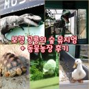 계양고등학교 옆 | [국내여행] 아기와 보령(대천) 공룡의 숲 뮤지엄 + 동물농장 후기