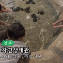 완산상점가 주차환경 개선사업 | 전주 자연생태관 최근 방문 후기 주차 예약 근처 식당 아이와가볼만한곳