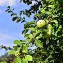 창문가로등 이미지