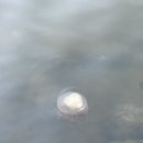 웨스턴헤이(주) 이미지