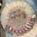 마산횟집 착한가격 모둠회 경남대맛집 어판장 해운점