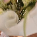 홍대 프로포즈 꽃다발, 플라워 서화에서 준비한 솔직 후기 🌹