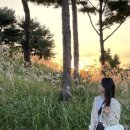 # 취향