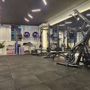 고트스트레칭&피티 이미지