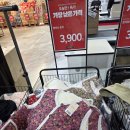 아마존애견용품할인마트 | 207FEET 파주본점🛒 생활용품·화장품·주방템 창고형 할인매장 총정리!