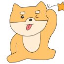 ok메디텍 이미지