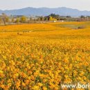 황화농장 이미지