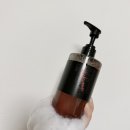 킁킁 | 내 주변에서 다들 킁킁거리는 이유 🤔 | 라비앙카멜리아 샴푸 솔직 후기