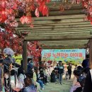 낙산초교 이미지