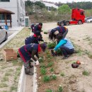 목상동주민복지위원회 이미지