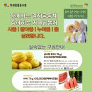 동동협동조합 이미지