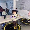 다짐태권도장 이미지