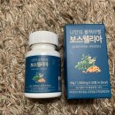 관절영양제 챙겨먹는 나만의건강by설리마켓 나만의 블랙라벨 보스웰리아후기