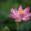 서동요 촬영지 이미지